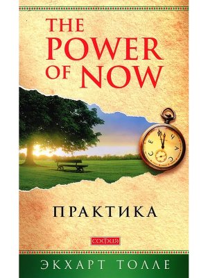 Практика Power of Now