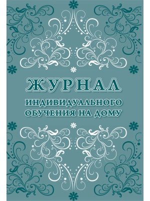 *Журнал индивид обуч на дому 80 стр КЖ-616/3