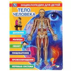 Умка Тело человека Энц 