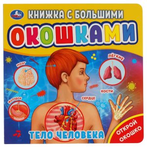 Умка Тело человека кн с большими окошками