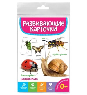 Развивающие карточки Насекомые ПрПр