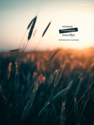 Записная книга 120л А4 Колоски Спираль 120-1710