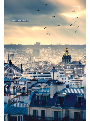 Записная книга  80л А4 Клетка Птицы над городом Б80-0856