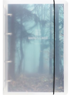 Тетрадь на кольцах 120л А5 Клетка Туманный лес платик на резинке 120-1563