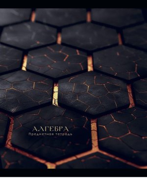 Тетрадь предм 48л Клетка BLACK&GOLD АЛГЕБРА фольга софт-тач 48-2679
