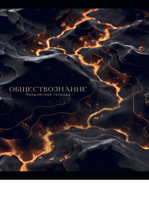 Тетрадь предм 48л Клетка BLACK&GOLD Обществознание фольга софт-тач 48-2713