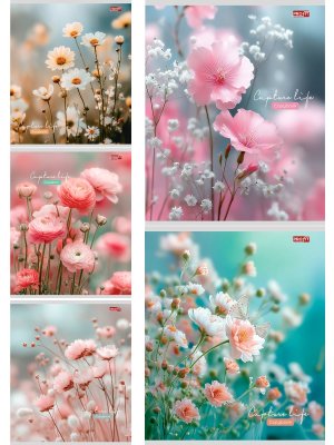 Тетрадь  48л Клетка НЕЖНЫЕ ЦВЕТОЧКИ - 11 48-9070