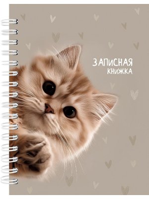 Записная книжка  80л А6 ЗАБАВНЫЙ КОТИК - 3 глянц Спираль 80-9512
