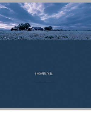 Тетрадь  48л Клетка ИНФОРМАТИКА Nature 48-9847