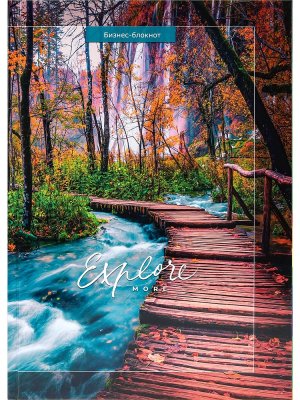 Бизнес блокнот 80л А4 МОСТИК В ЛЕСУ Тв Б80-6697