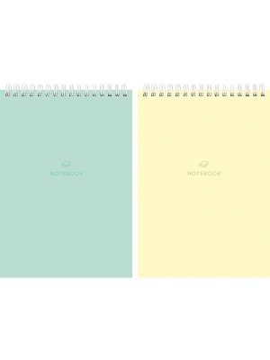 Блокнот 40л А5 ПАСТЕЛЬНЫЕ ОТТЕНКИ ассорти на гребне Б40-5009
