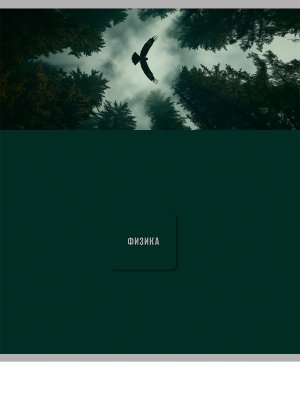 Тетрадь 48л клетка ФИЗИКА Nature 48-9853