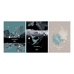 Тетрадь  80л А4 Клетка Wonder Т4ск80_тф 11202