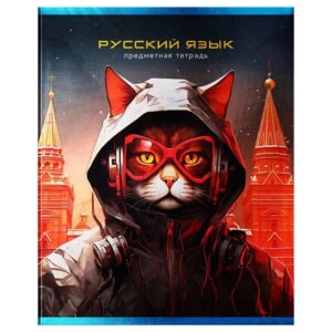 Тетрадь предм  48л Линия Мир будущего Русский язык металлизир ТП5ск48 56346