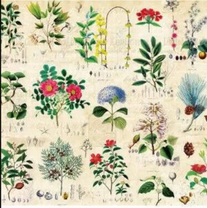 Упаковочная бумага 1л в рул Ботаника 70*100см УБ-1780