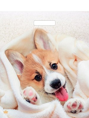 Полиэтиленовый пакет Малыш Веня 45*38 н00255428