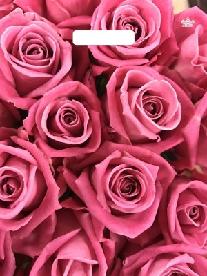 Полиэтиленовый пакет Джейми 40*31 см/60мкм лам н00292235