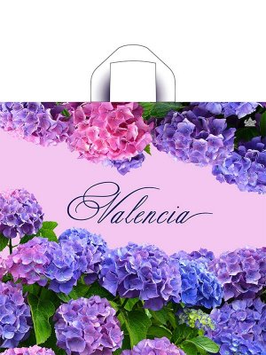 Полиэтиленовый пакет петлевой Валенсия 44*42/70мкм н00255297