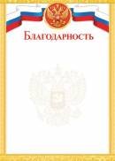 9-19-377 Благодарность РФ