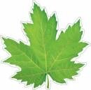 7-65-178 Украшение Кленовый лист зеленый