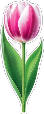 7-65-8070 Украшение на скотче Тюльпан розовый