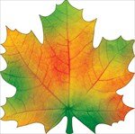 Украшение Кленовый лист желто зеленый