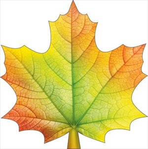 Украшение Кленовый лист красно-оранжево-зеленый