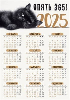 Кал 2025 Лист А4 Опять 365 63.165
