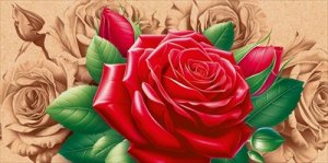 Конверт Без надписи жен 9.0001133