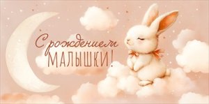 Конверт С Рождением малышки 9.0001274
