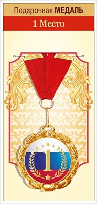 Металлическая медаль 1 место 15.11.02061
