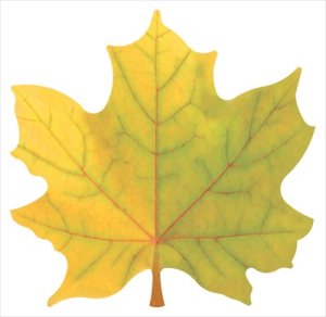 Украшение Кленовый лист желто зеленый 1.0000417