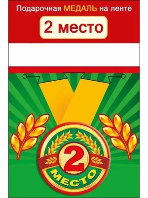 Медаль металлическая 2 место 52.53.150