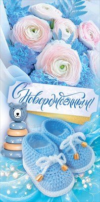 Конверт С Новорождённым 1.0000399