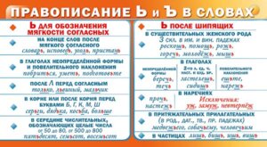 Шпаргалка Правописание ь и ъ в словах