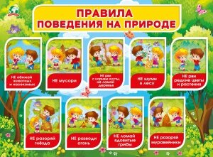 Плакат Правила поведения на природе
