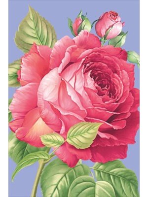 Открытка Без надписи жен 059.958