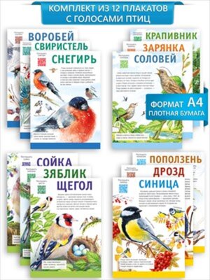 Набор мини плакатов Птицы с живыми голосами 12 шт