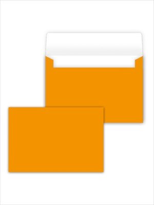 Конверт средний Облепиха 091.611