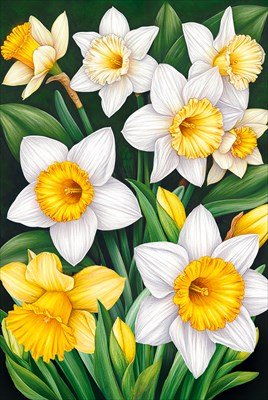 Открытка Без надписи Нарциссы жен 7.0001244