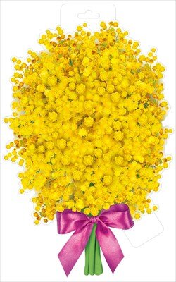 Плакат фигурный мини Мимоза