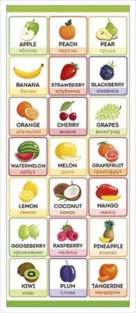 Магнитная закладка Фрукты и ягоды англ