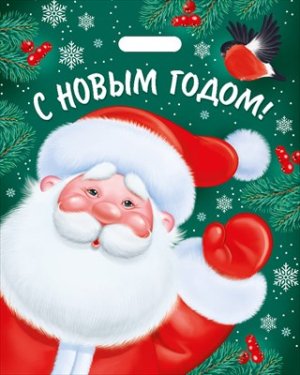 Полиэтиленовый пакет С Новым годом Дед Мороз 56,021,00