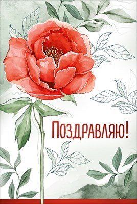 Открытка Поздравляю жен