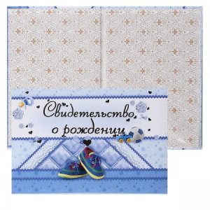 Свидетельство о рождении  для мальчика А5 Голубые туфли 3078515
