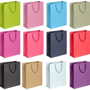 Бумажный пакет Радуга 9041203