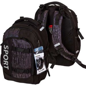 Рюкзак Ergo Sport школьный 39x28x20 см 18 л 600 г 2 отделения на молнии 7033513