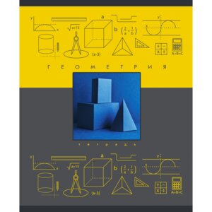 Тетрадь  48л Клетка Теория и практика Русский язык ТТЛ486452