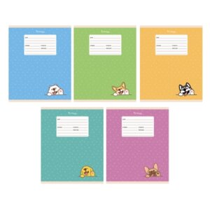 Тетрадь  24л Линия Дай пять ТЛ247591