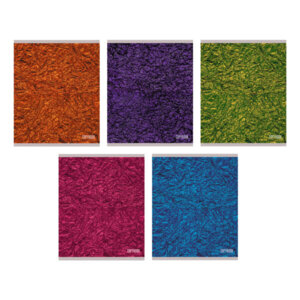 Тетрадь  48л Клетка Foil 5 диз ТК487819